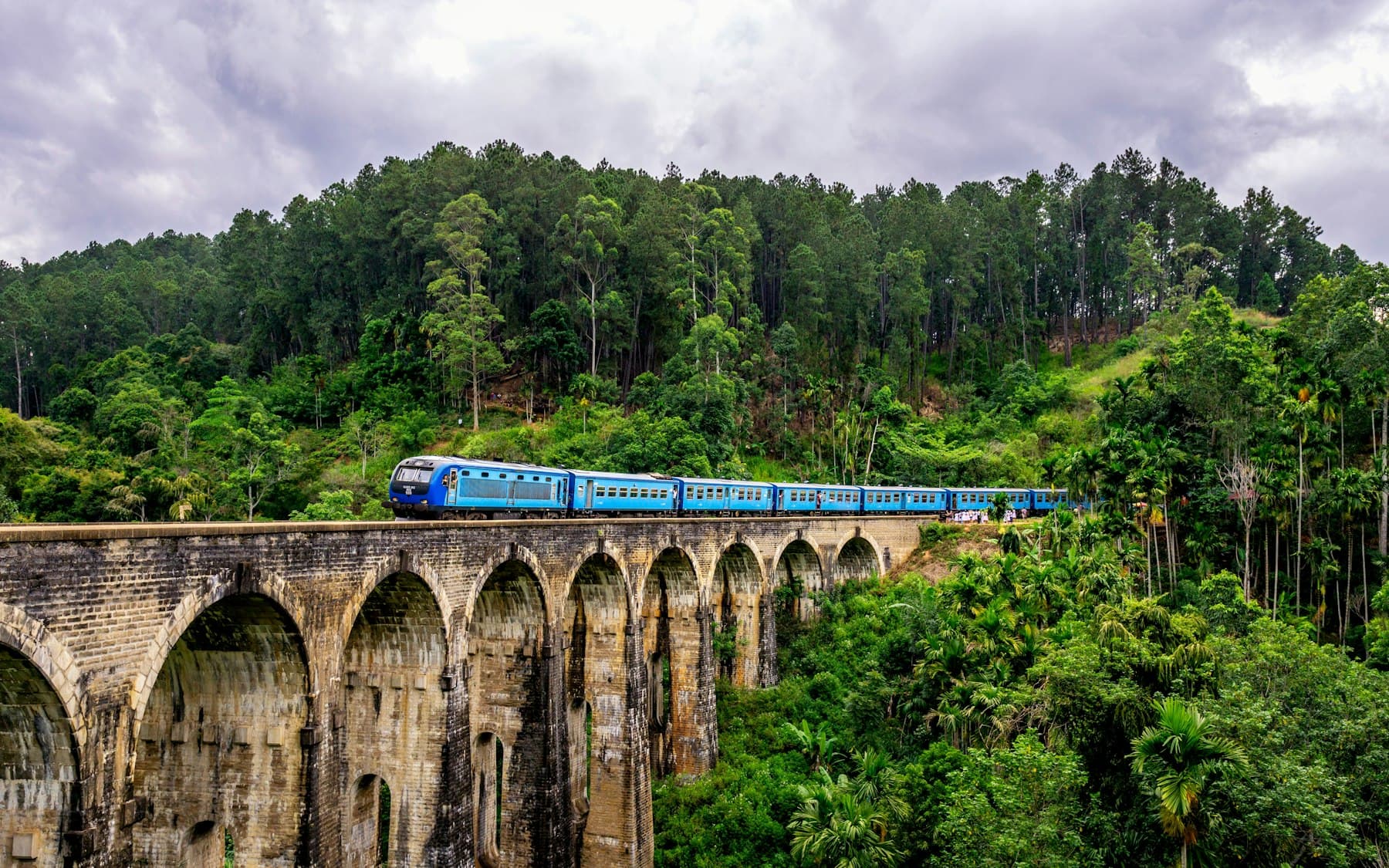 Blauer Zug durch das grüne Hochland von Sri Lanka