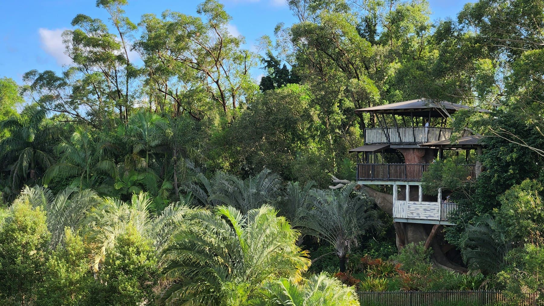 Baumhaus zwischen Bäumen im tropischen Wald